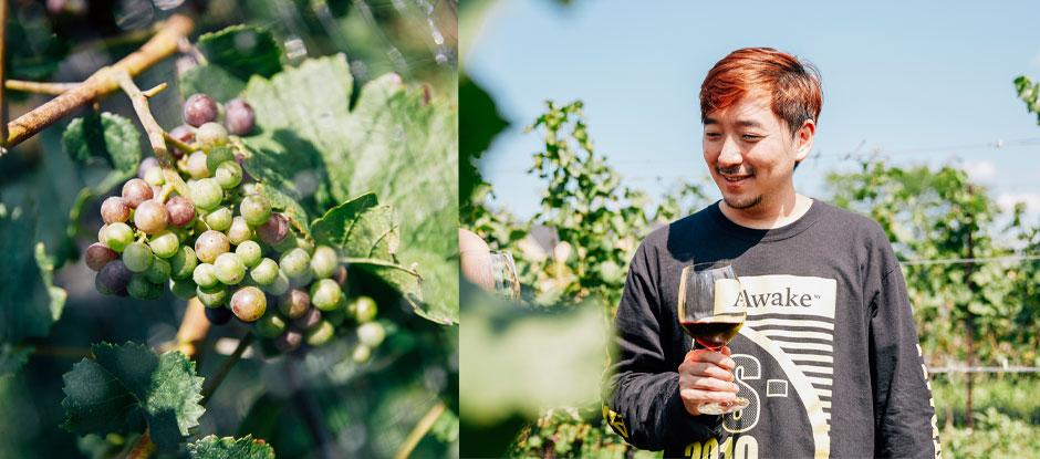 50 Best Explores Ontario: Atomix chef Junghyun Park discovers an unexpected wine region