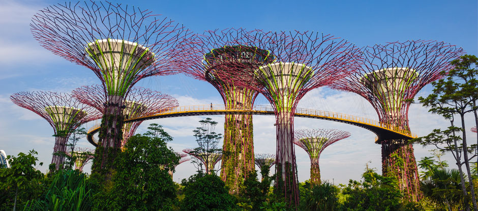 Chicken rice to Supertrees: Singapore in 50 facts